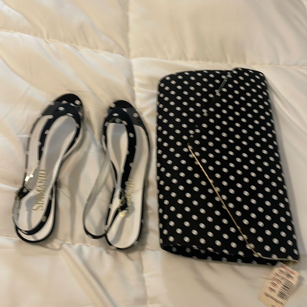 Matching ladies purse and shoes . Never worn and in good condition